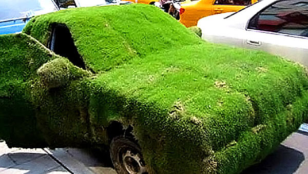 Автомобильный кузов с травяным покрытием - www.darkroastedblend.com