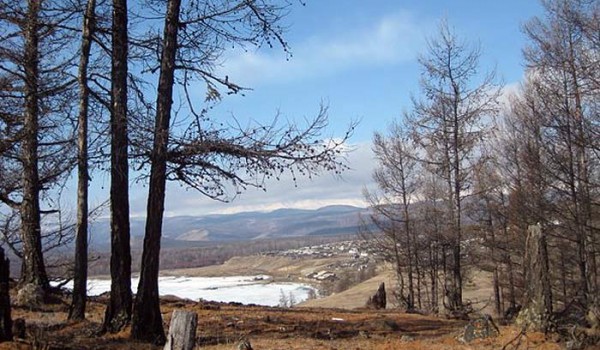 Природа Байкала. Поселок Байкальское. 2010 год.