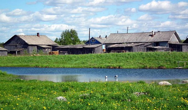 Деревня Саунино. Архангельская область. 2011 год.