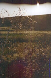 Природа Тамани осенью. 1997 год.